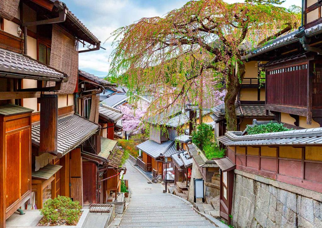 Ten Private Membership - Discover the magic of Japan in 15 days with Private Travel x Ten image