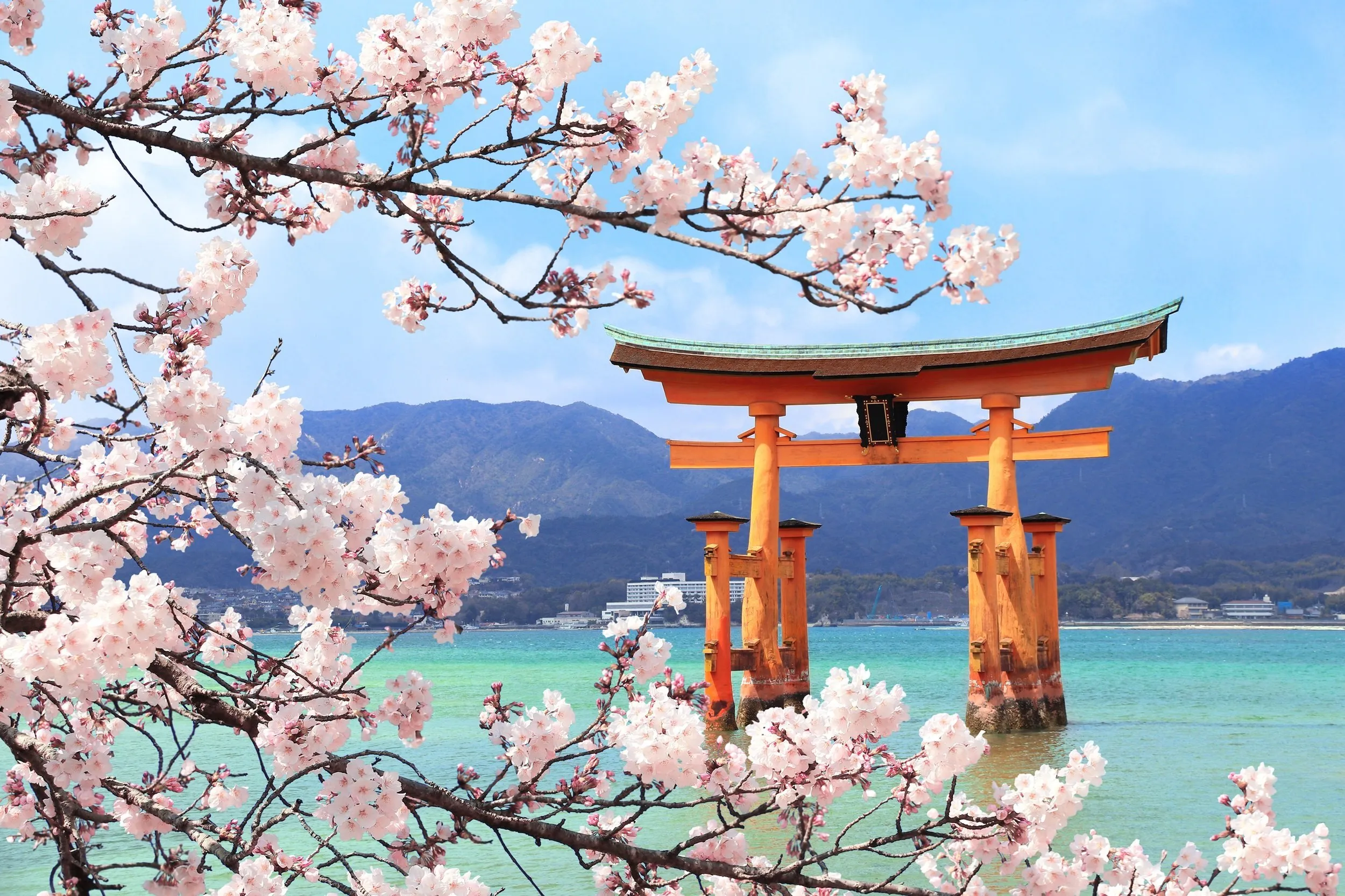 Ten Private Membership - Discover the magic of Japan in 15 days with Private Travel x Ten image