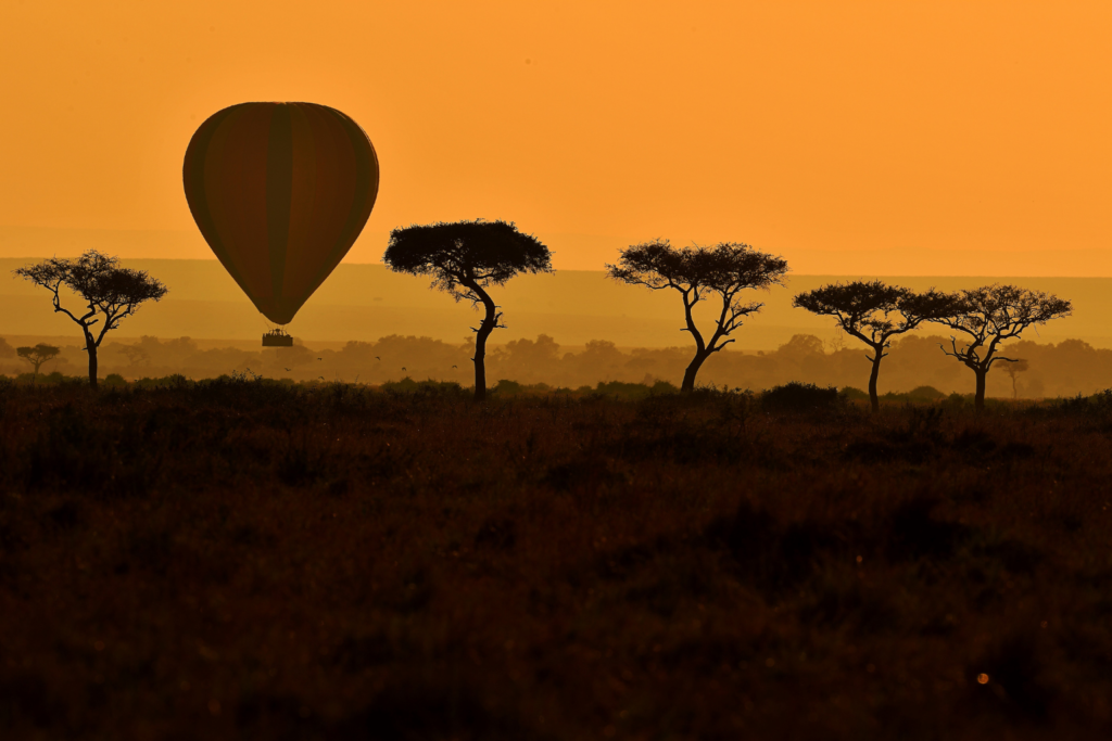 Safari - hot air balloon silhouette 