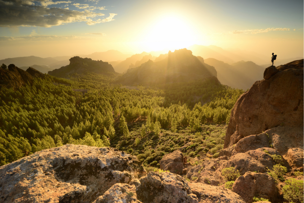 A beautiful view over rocky peaks and trees in Gran Canaria, with a silhouette of a hiker standing on the edge looking over