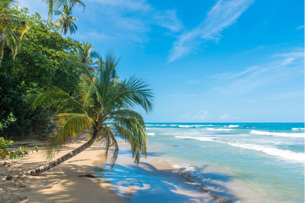 Travel to a white sandy beach in Costa Rica