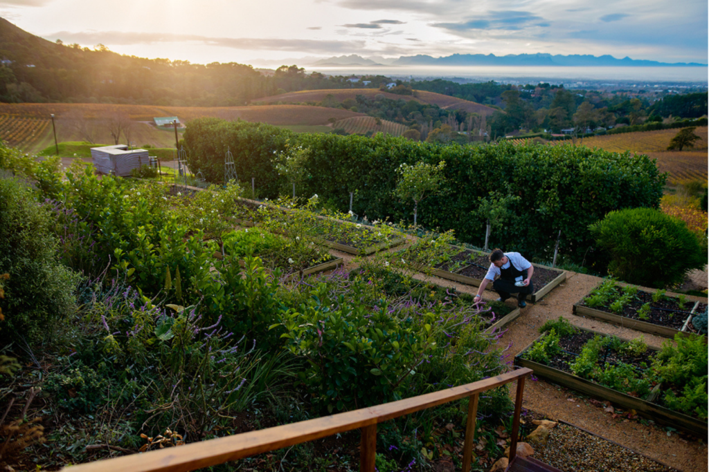 The Beau Constantina Chef's Warehouse garden and view over the Cape