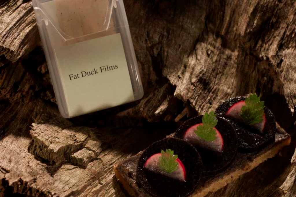 Fat Duck Films on an oak log 