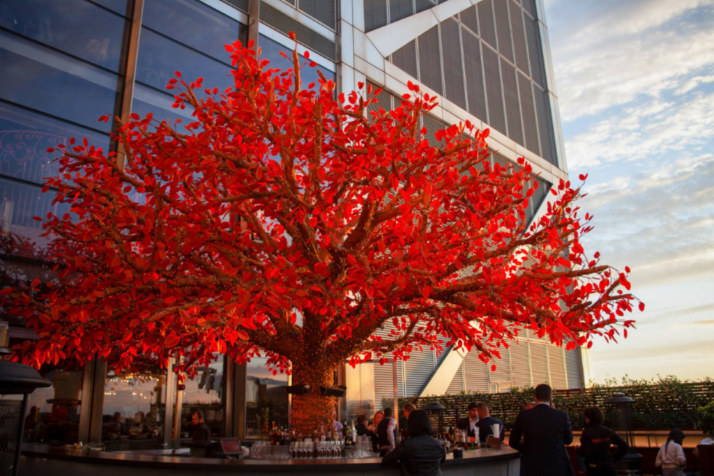 SUSHISAMBA City Tree Terrace