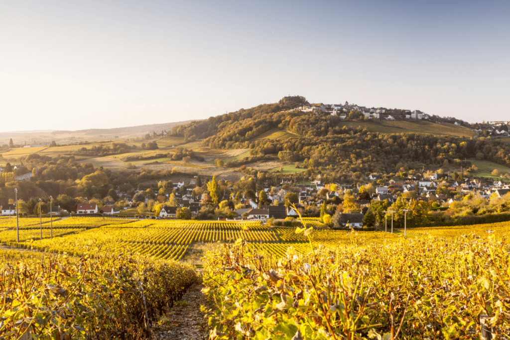 Sancerre