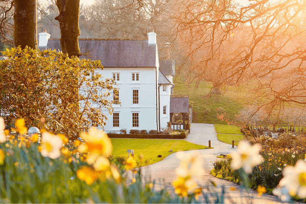 Grove of Narberth