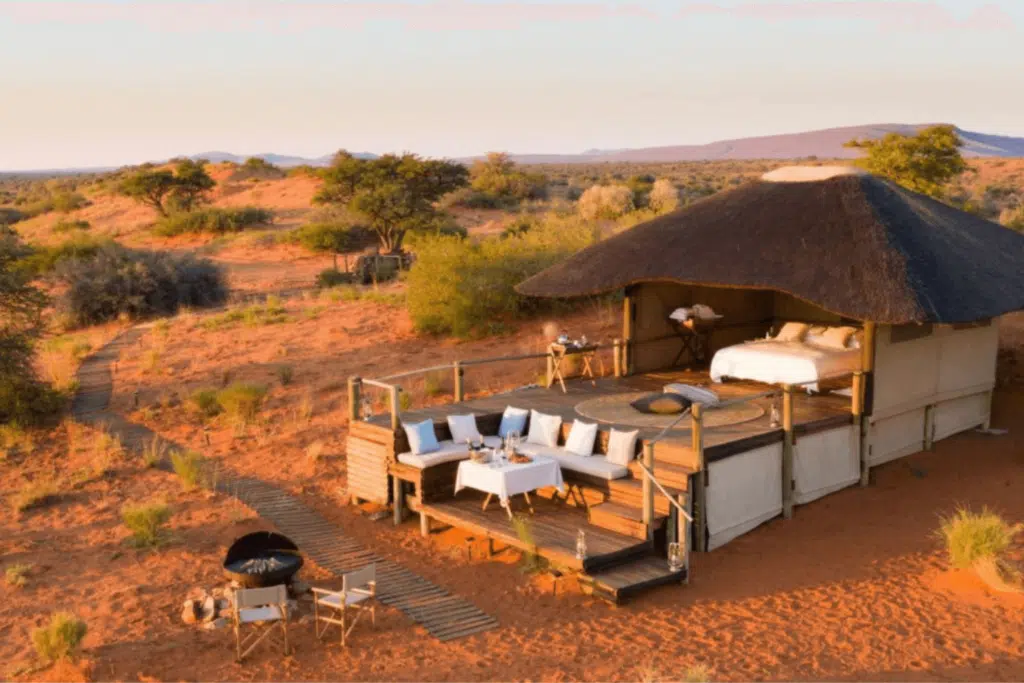 Travel trend number three: going on the trip of a lifetime, like a safari at Tswalu Kalahari, South Africa.