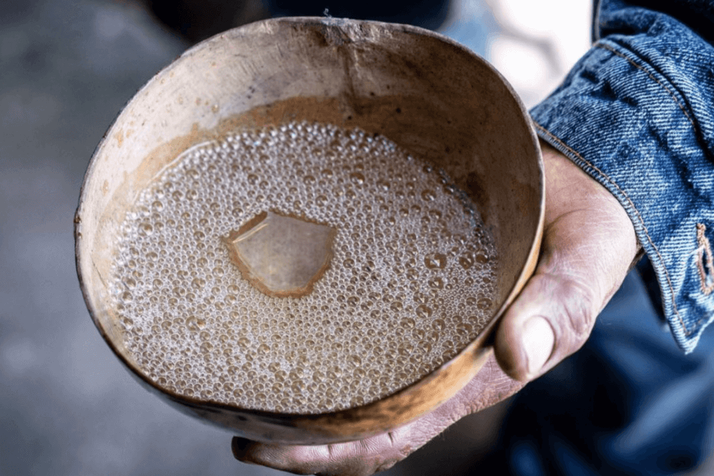 Freshly produced Mezcal in coconut shell