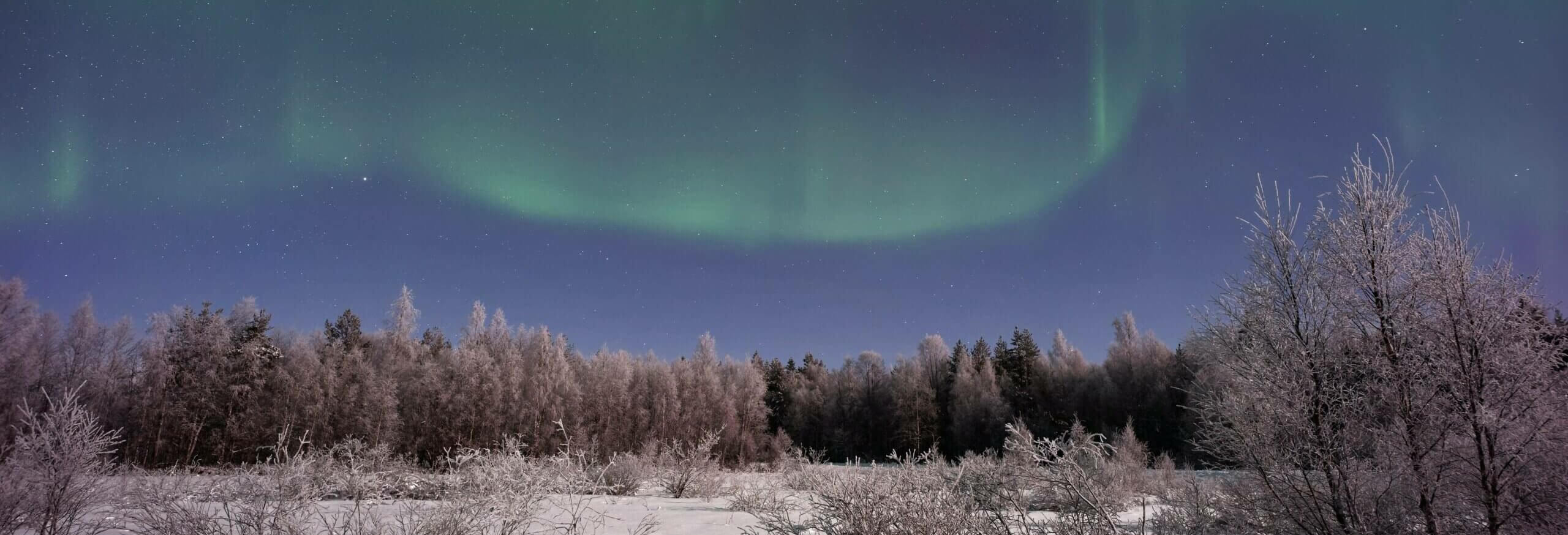 Discover winter’s magic in Lapland | Travel x Ten