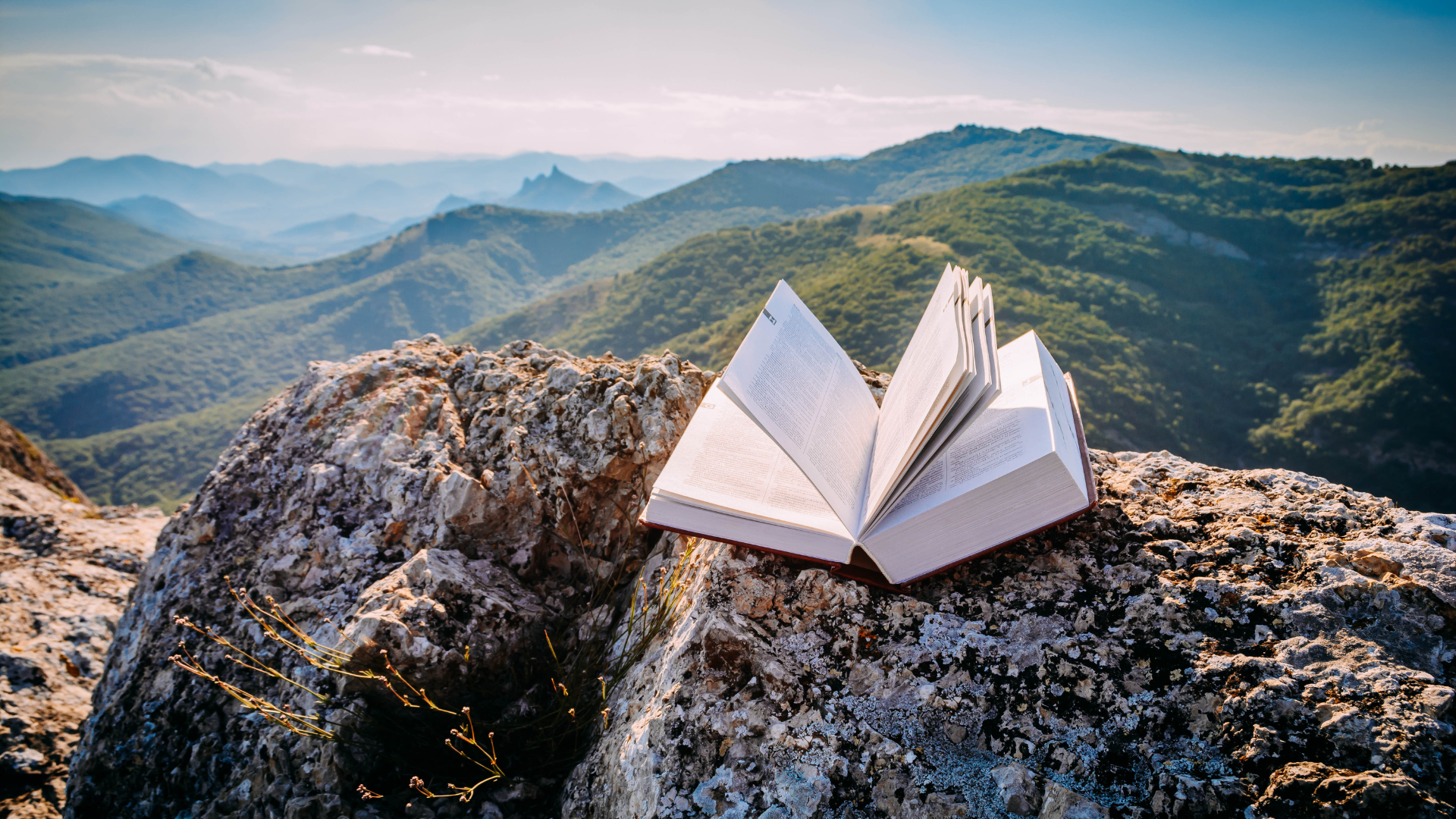 Ten Private Membership - Diario (Spanish) libro viajes