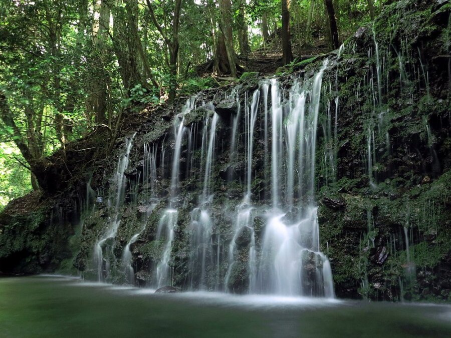 Ten Private Membership - Hidden Harmonies of Japan: Discover peace in nature amid Zen gardens image