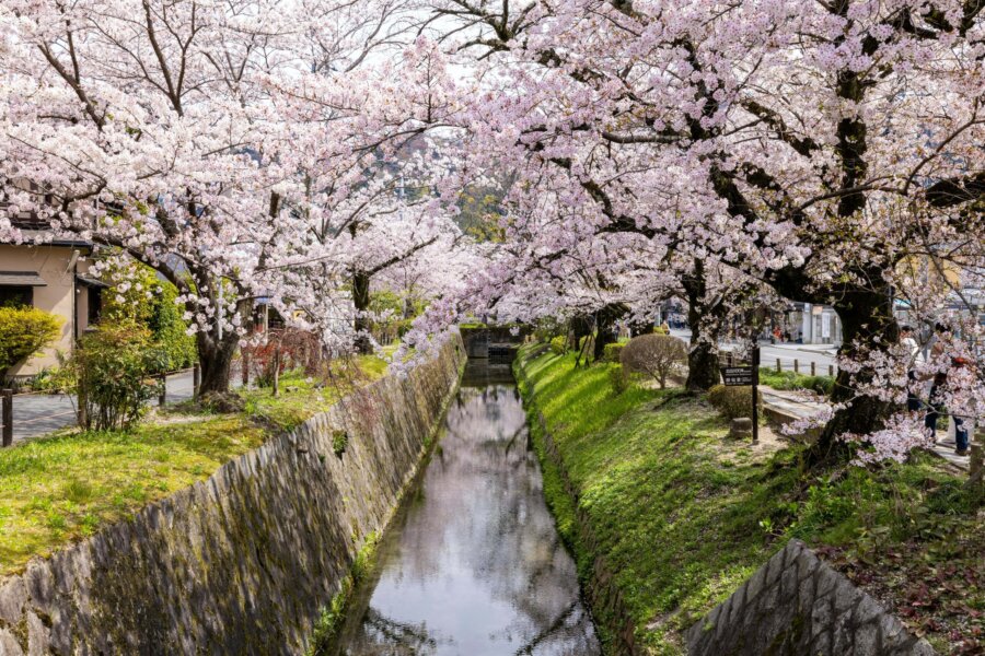 Ten Private Membership - Hidden Harmonies of Japan: Discover peace in nature amid Zen gardens image