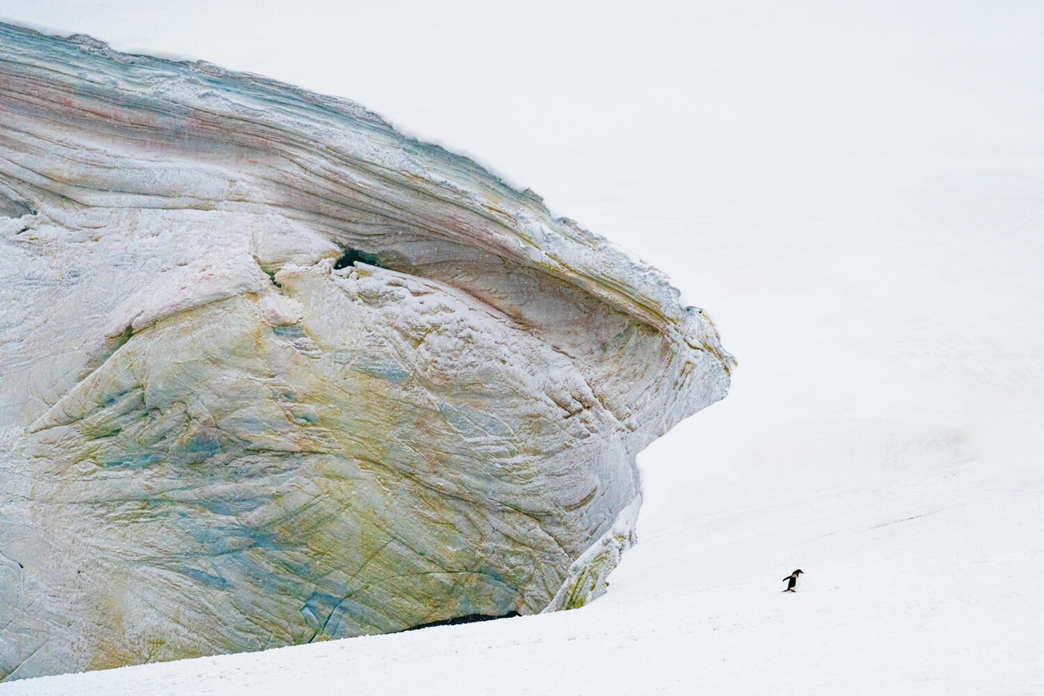 Antarctica from Cape Town