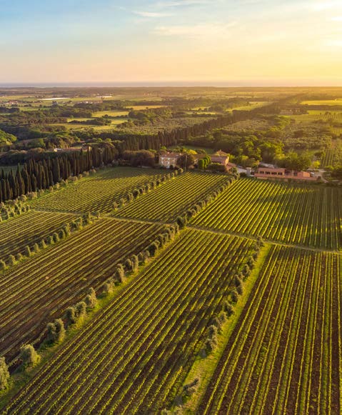 Ten Private Membership - Explore Autumn Adventures in Maremma, Tuscany Ten Private Membership - Explore Autumn Adventures in Maremma, Tuscany image