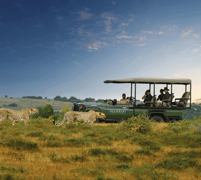 Ten Private Membership - Experience a Private Travel Journey From Safari to Shoreline Ten Private Membership - Experience a Private Travel Journey From Safari to Shoreline image