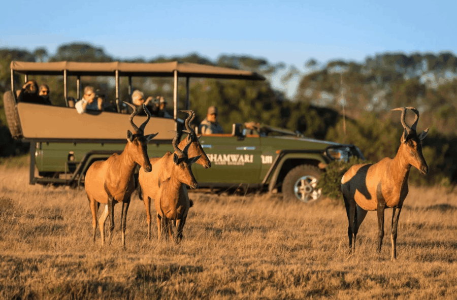 Ten Private Membership - Experience a Private Travel Journey From Safari to Shoreline Go wild at Shamwari