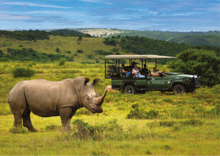 Private Travel & Safari